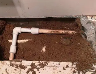 汉川测漏水哪家好