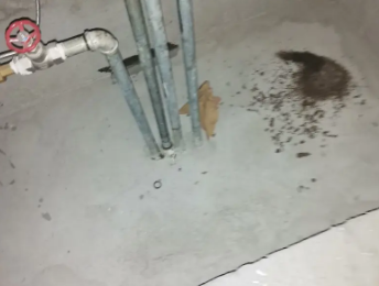 汉川卫生间测漏水价格明细